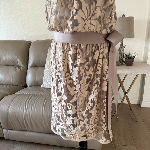 Tadashi Shoji Blouson Sand Beige Floral Lace
Overlay Cocktail Dress Size 8 - Picture 6 of 17